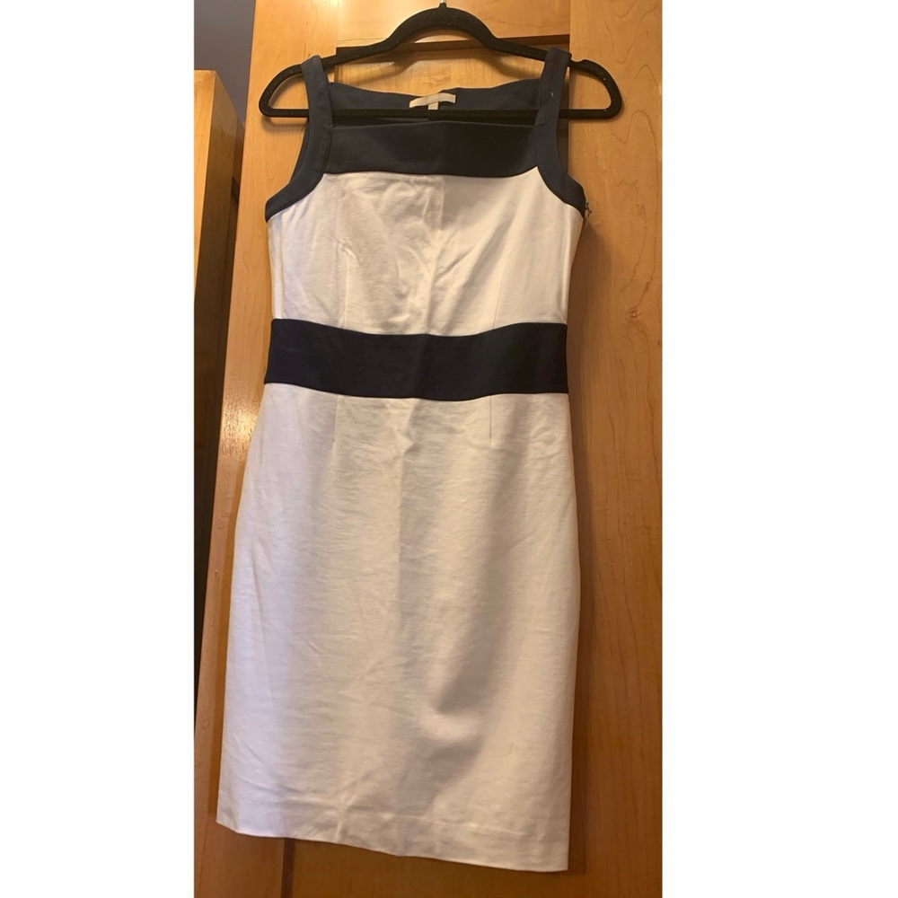 Sophisticated Blue & White Dress